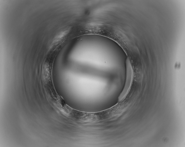 X0000092081298200709121436