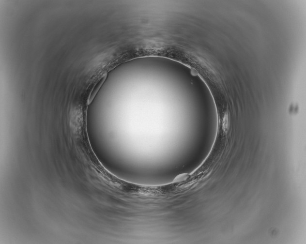 X0000092081299200709121436