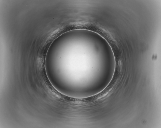 X0000092081300200709121436