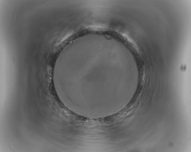 X0000092081301200709121436