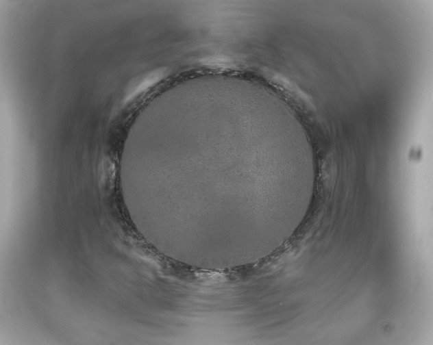 X0000092081302200709121436