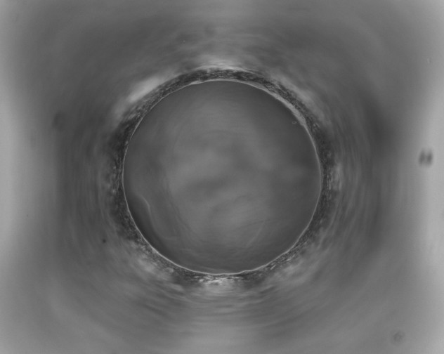 X0000092081303200709121436