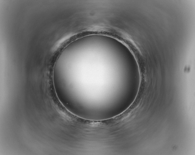 X0000092081304200709121436