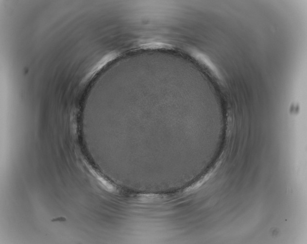 X0000092081305200709121436