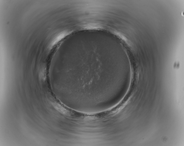 X0000092081306200709121436