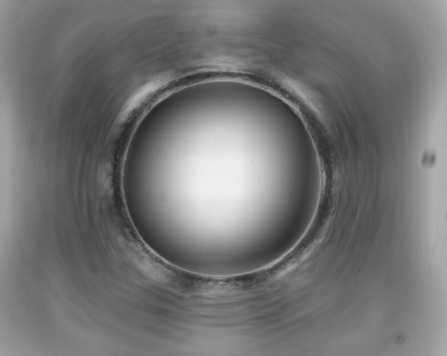 X0000092081307200709121436