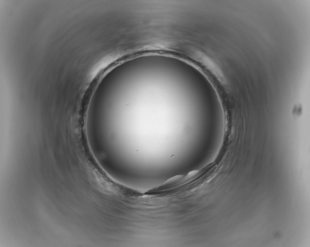 X0000092081308200709121436