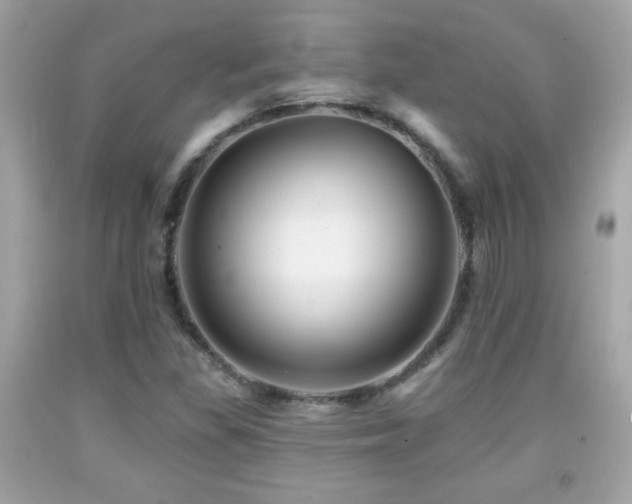 X0000092081309200709121436