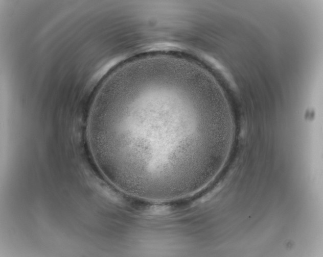X0000092081313200709121436