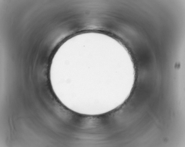 X0000092081314200709121436