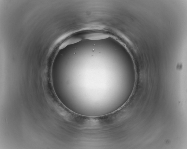 X0000092081315200709121436