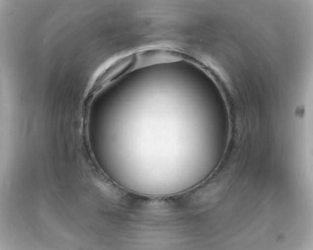 X0000092081316200709121436