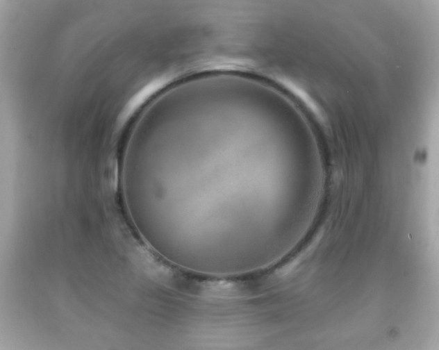 X0000092081317200709121436