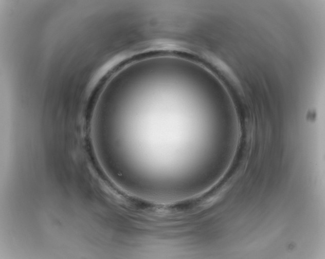 X0000092081318200709121436