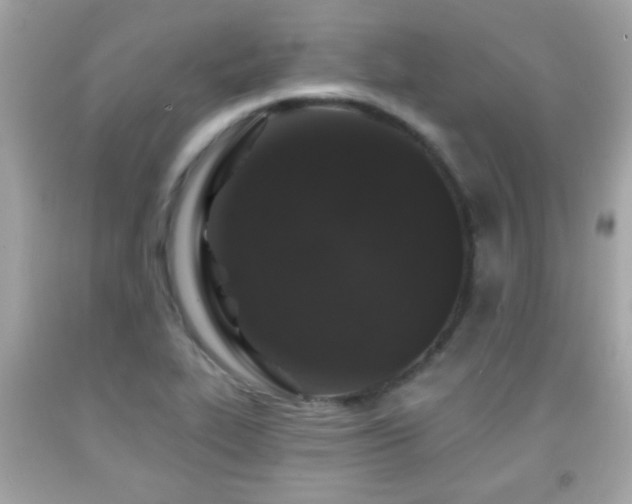 X0000092081319200709121436