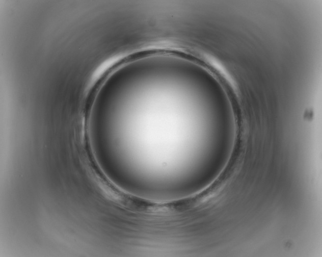 X0000092081320200709121436