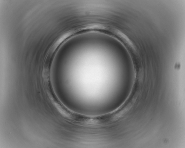X0000092081321200709121436