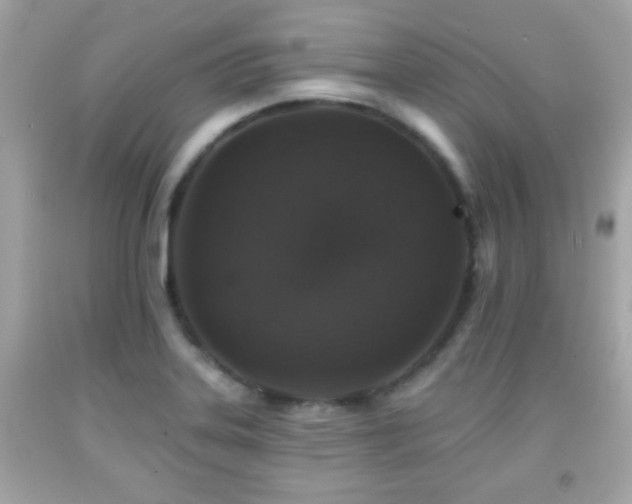 X0000092081323200709121436