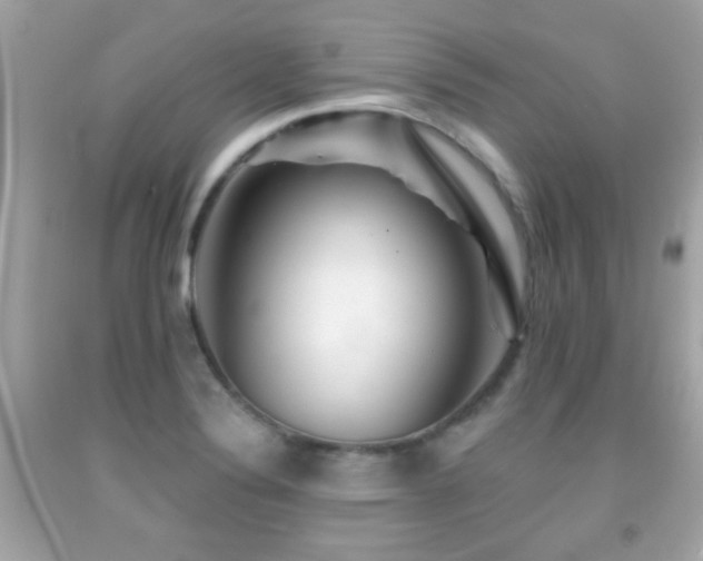 X0000092081324200709121436