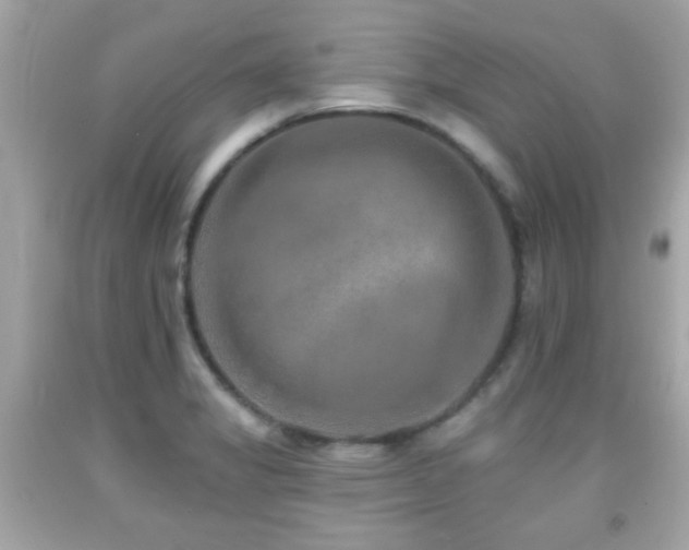 X0000092081325200709121436