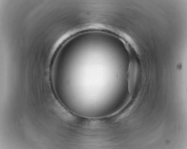 X0000092081326200709121436