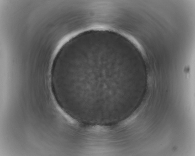 X0000092081327200709121436