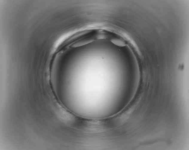 X0000092081328200709121436