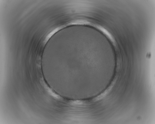 X0000092081329200709121436