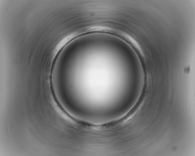 X0000092081330200709121436