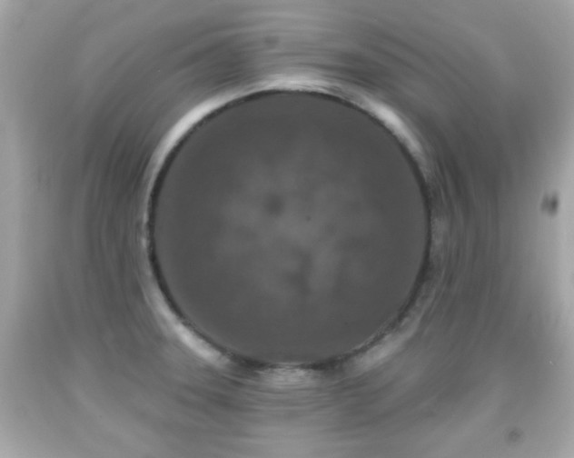 X0000092081331200709121436