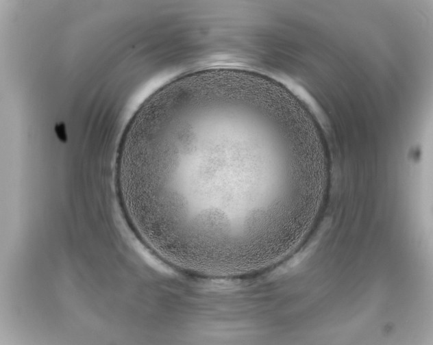 X0000092081333200709121436