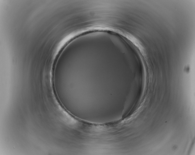 X0000092081334200709121436