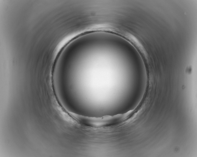 X0000092081336200709121436