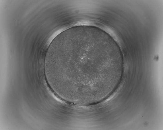 X0000092081337200709121436