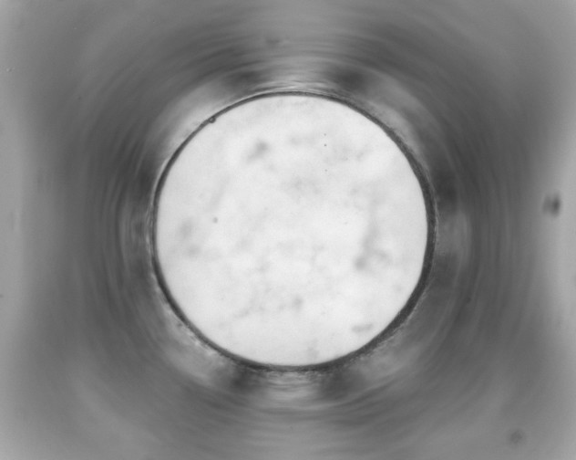X0000092081338200709121436
