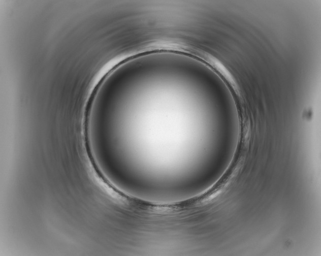 X0000092081339200709121436