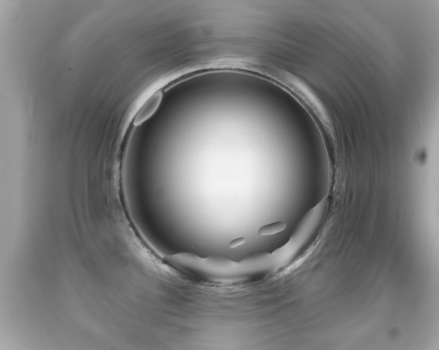 X0000092081340200709121436