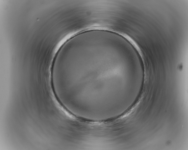 X0000092081341200709121436