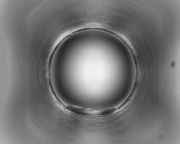 X0000092081342200709121436