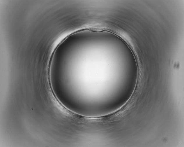 X0000092081344200709121436