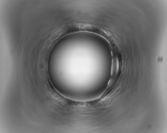 X0000092081345200709121436
