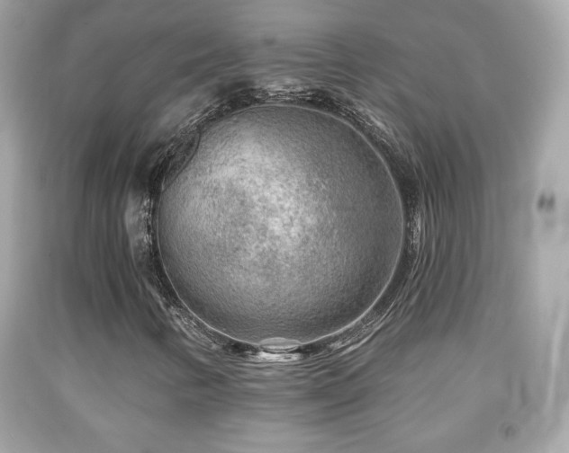 X0000092081346200709121436