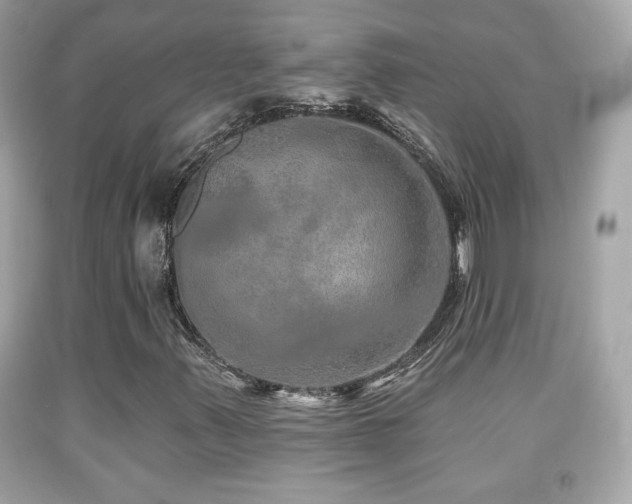 X0000092081347200709121436