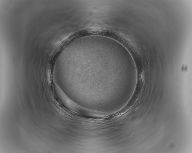 X0000092081348200709121436