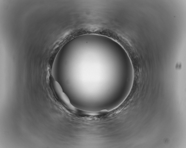 X0000092081349200709121436