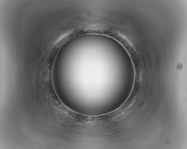 X0000092081350200709121436