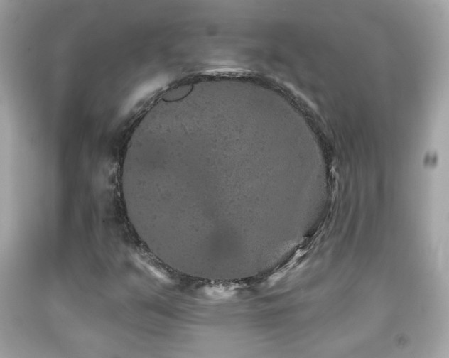 X0000092081351200709121436