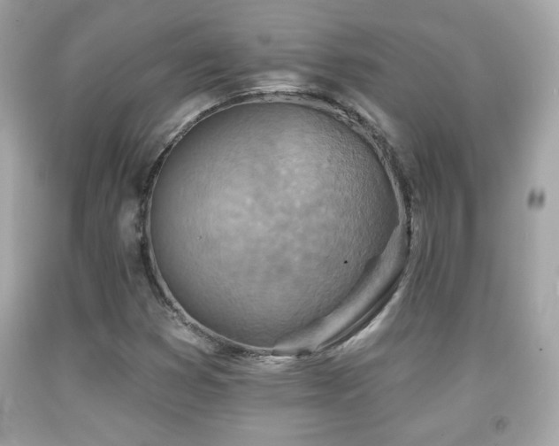 X0000092081353200709121436