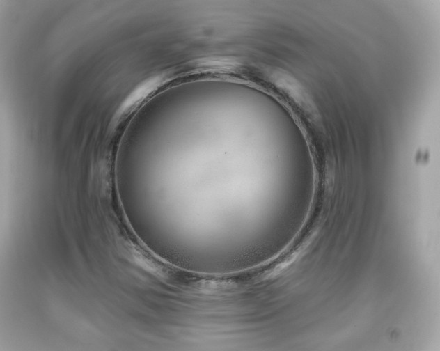X0000092081354200709121436