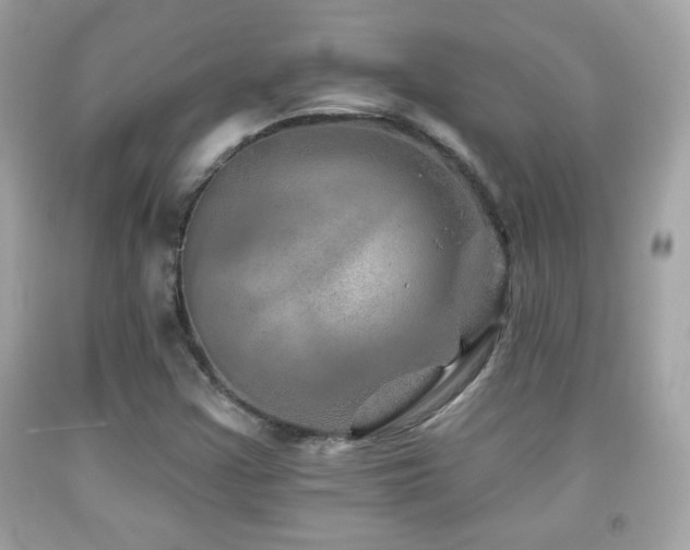 X0000092081355200709121436